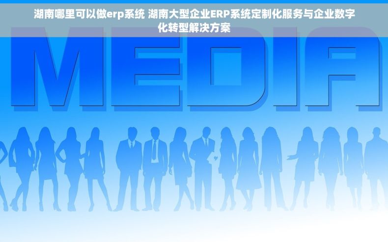 湖南哪里可以做erp系统 湖南大型企业ERP系统定制化服务与企业数字化转型解决方案