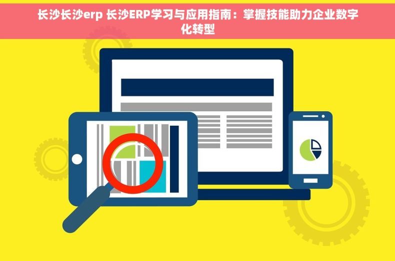 长沙长沙erp 长沙ERP学习与应用指南：掌握技能助力企业数字化转型