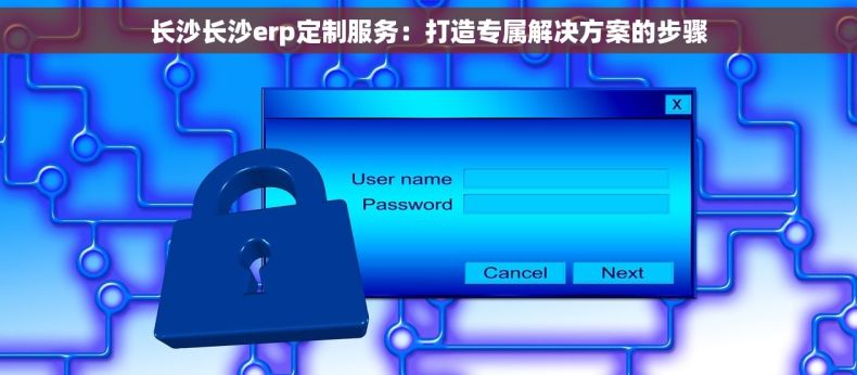 长沙长沙erp定制服务：打造专属解决方案的步骤