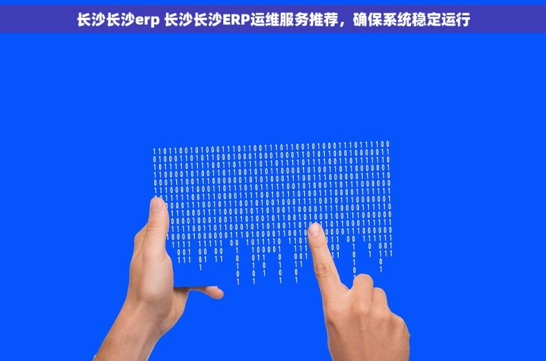 长沙长沙erp 长沙长沙ERP运维服务推荐，确保系统稳定运行
