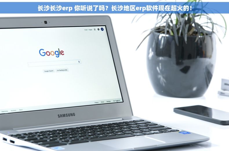 长沙长沙erp 你听说了吗？长沙地区erp软件现在超火的！