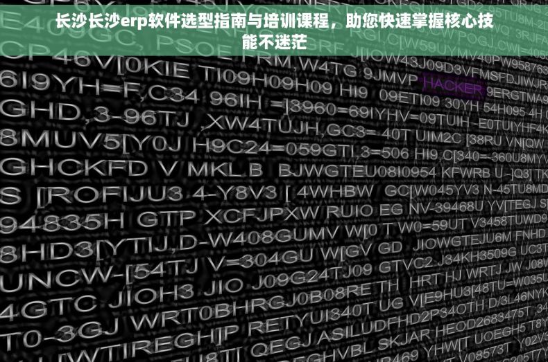 长沙长沙erp软件选型指南与培训课程，助您快速掌握核心技能不迷茫