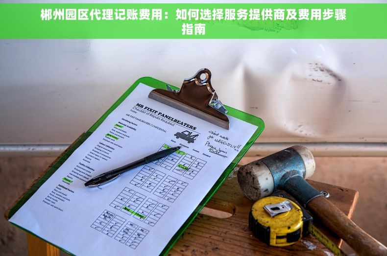 郴州园区代理记账费用：如何选择服务提供商及费用步骤指南
