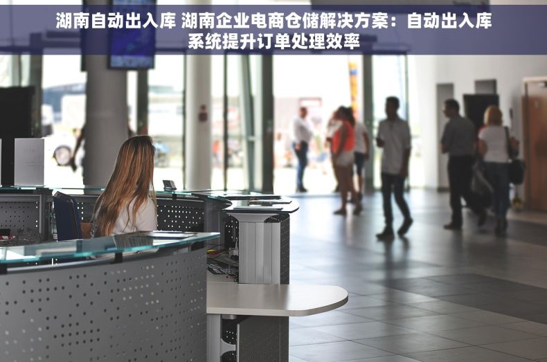 湖南自动出入库 湖南企业电商仓储解决方案：自动出入库系统提升订单处理效率