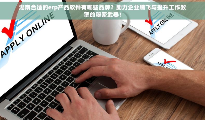 湖南合适的erp产品软件有哪些品牌？助力企业腾飞与提升工作效率的秘密武器！