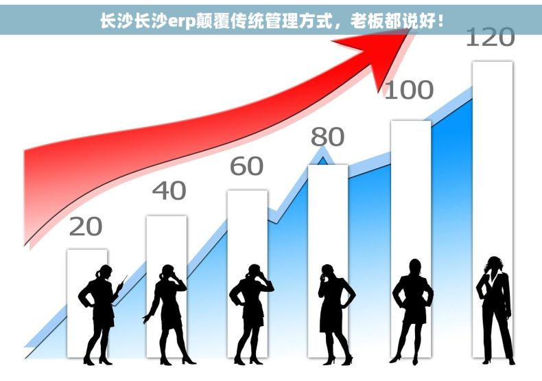 长沙长沙erp颠覆传统管理方式，老板都说好！
