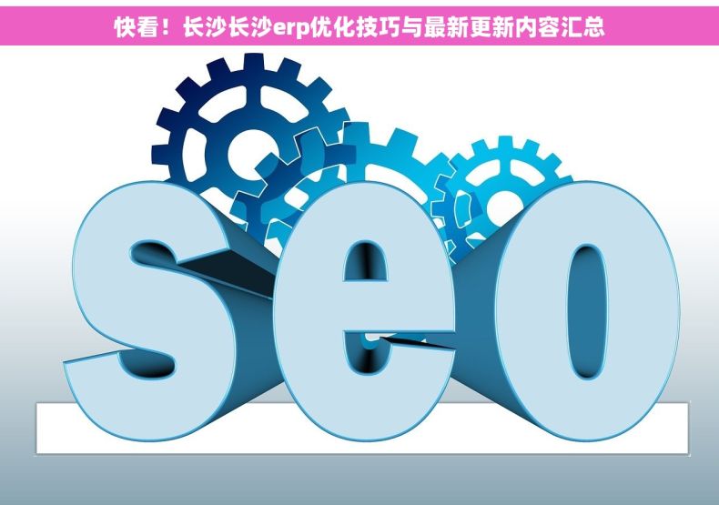 快看！长沙长沙erp优化技巧与最新更新内容汇总