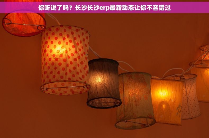 你听说了吗？长沙长沙erp最新动态让你不容错过