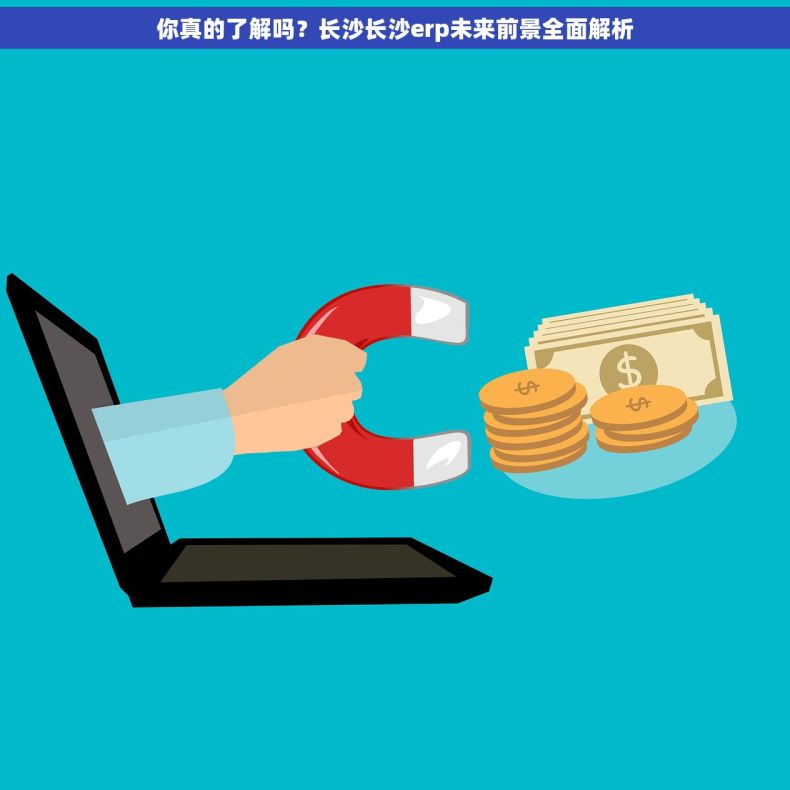 你真的了解吗？长沙长沙erp未来前景全面解析