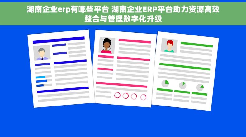 湖南企业erp有哪些平台 湖南企业ERP平台助力资源高效整合与管理数字化升级
