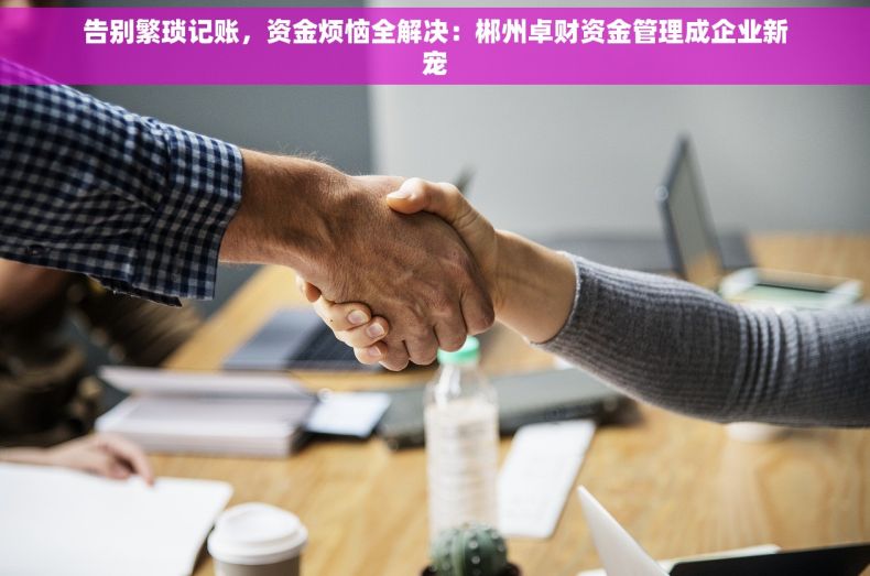 告别繁琐记账，资金烦恼全解决：郴州卓财资金管理成企业新宠
