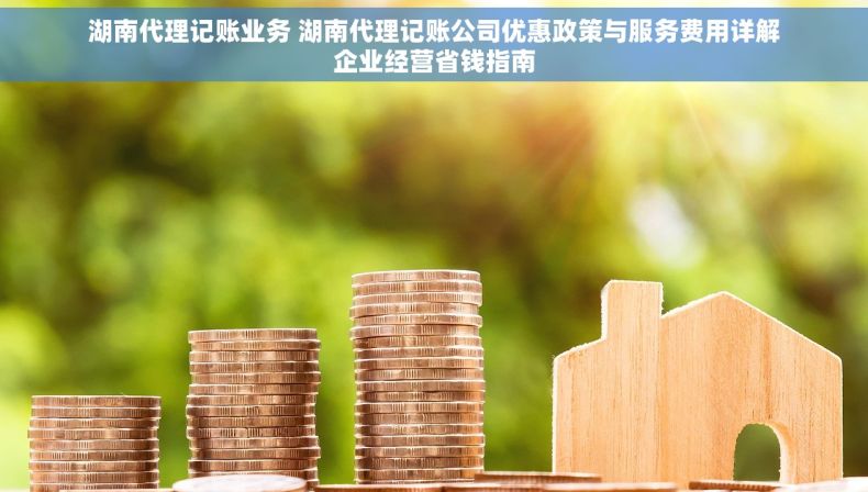 湖南代理记账业务 湖南代理记账公司优惠政策与服务费用详解企业经营省钱指南