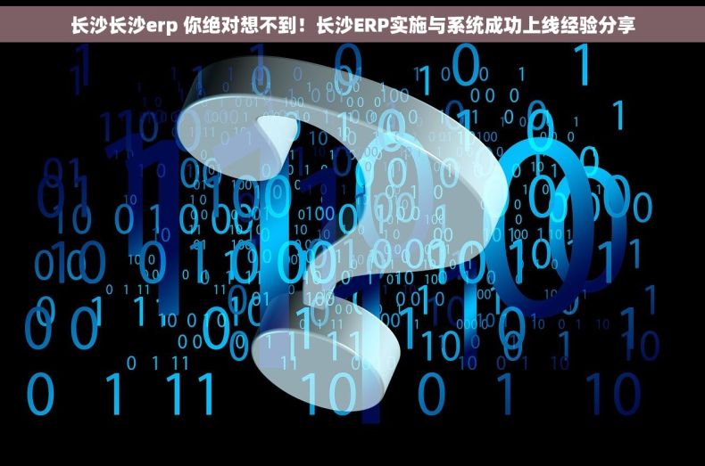 长沙长沙erp 你绝对想不到！长沙ERP实施与系统成功上线经验分享