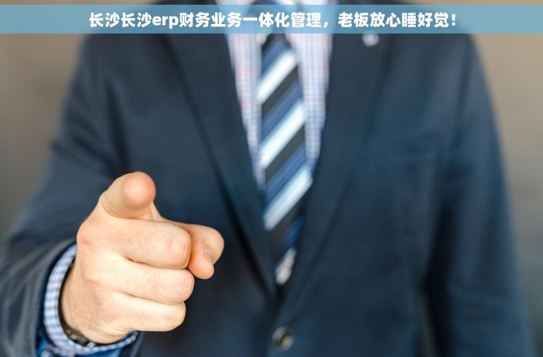 长沙长沙erp财务业务一体化管理，老板放心睡好觉！