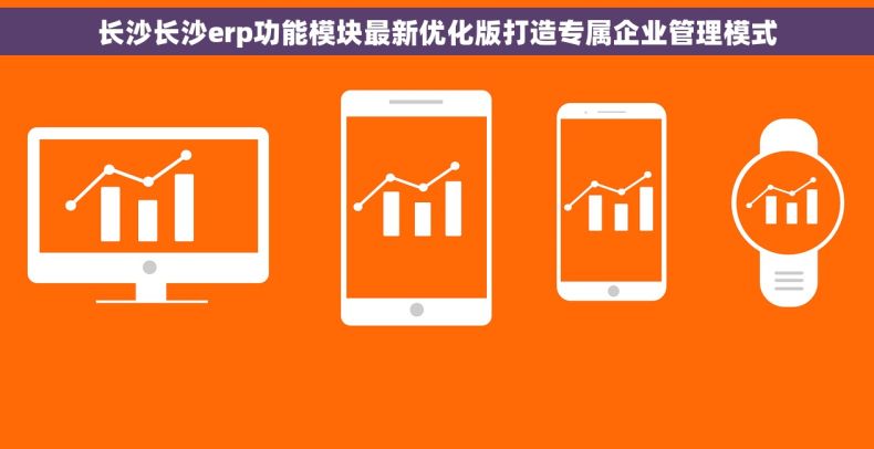 长沙长沙erp功能模块最新优化版打造专属企业管理模式