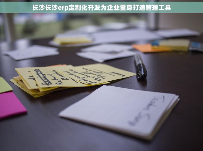 长沙长沙erp定制化开发为企业量身打造管理工具