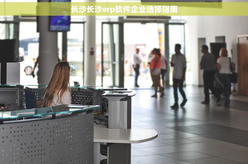 长沙长沙erp软件企业选择指南