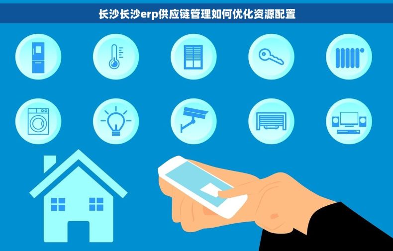 长沙长沙erp供应链管理如何优化资源配置