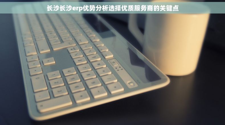 长沙长沙erp优势分析选择优质服务商的关键点