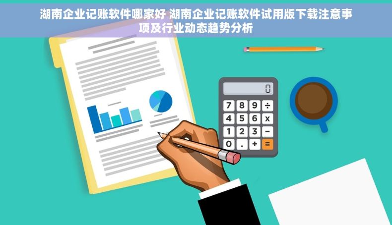 湖南企业记账软件哪家好 湖南企业记账软件试用版下载注意事项及行业动态趋势分析