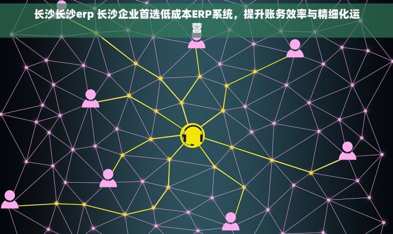 长沙长沙erp 长沙企业首选低成本ERP系统，提升账务效率与精细化运营