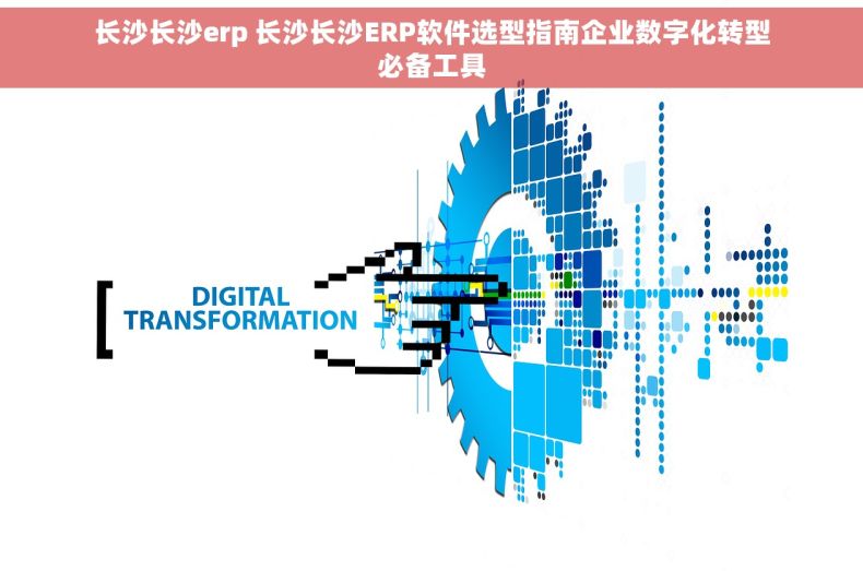 长沙长沙erp 长沙长沙ERP软件选型指南企业数字化转型必备工具