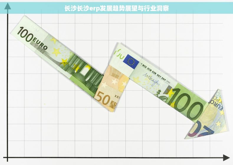 长沙长沙erp发展趋势展望与行业洞察