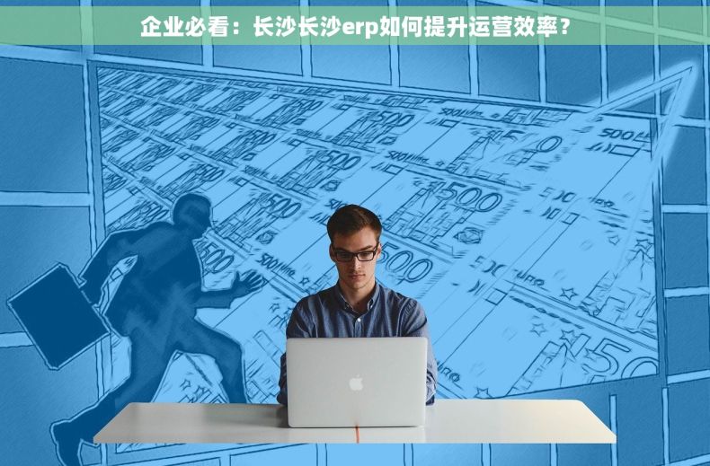 企业必看：长沙长沙erp如何提升运营效率？