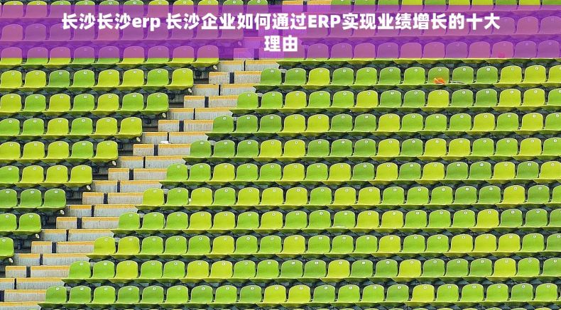 长沙长沙erp 长沙企业如何通过ERP实现业绩增长的十大理由