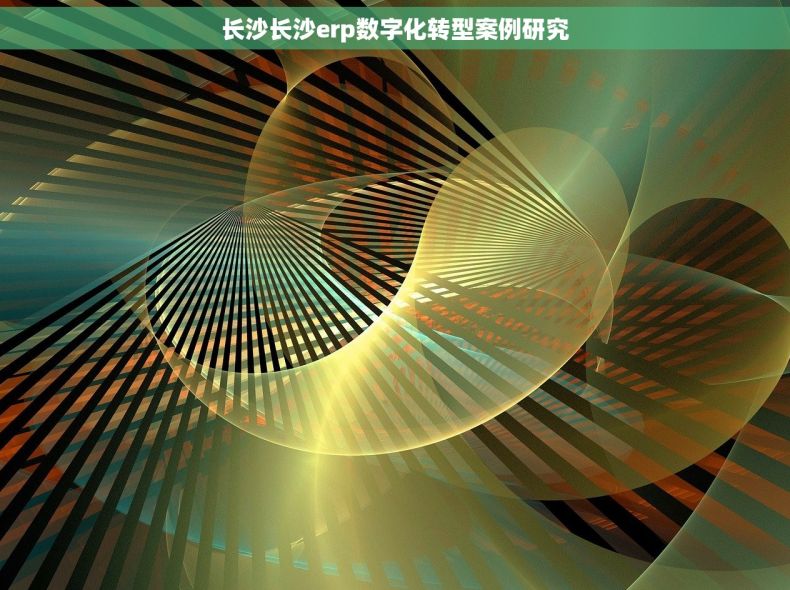 长沙长沙erp数字化转型案例研究