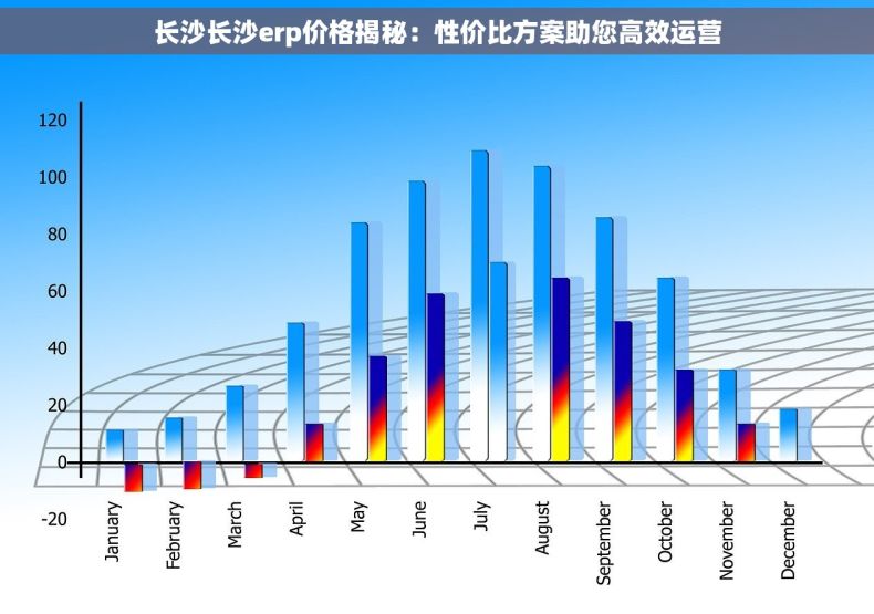 长沙长沙erp价格揭秘：性价比方案助您高效运营