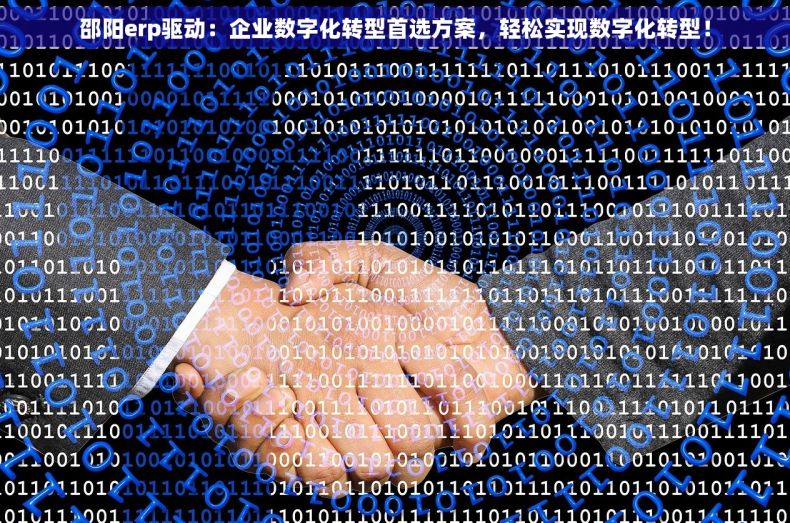 邵阳erp驱动：企业数字化转型首选方案，轻松实现数字化转型！