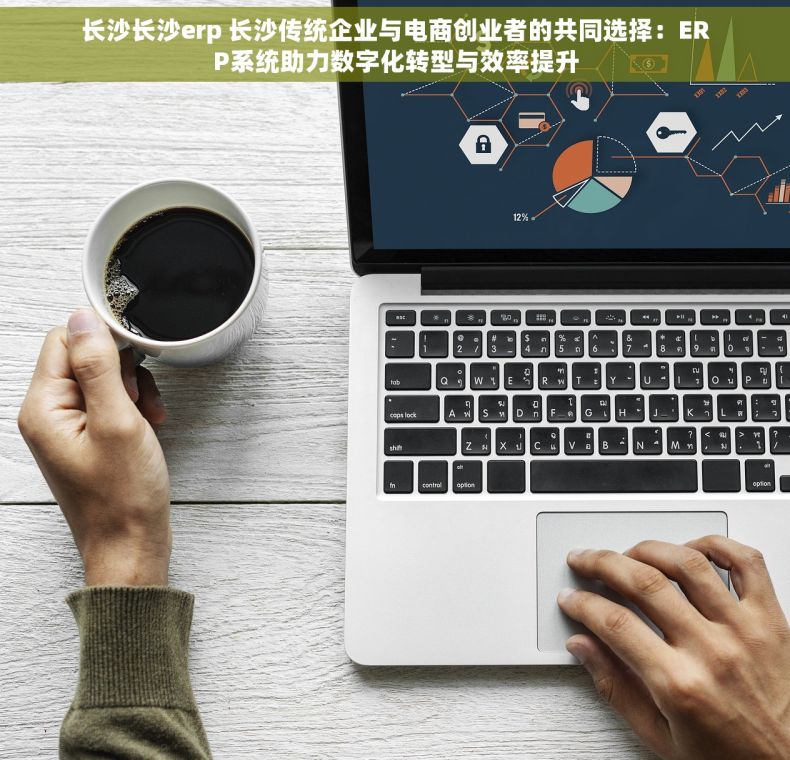 长沙长沙erp 长沙传统企业与电商创业者的共同选择：ERP系统助力数字化转型与效率提升