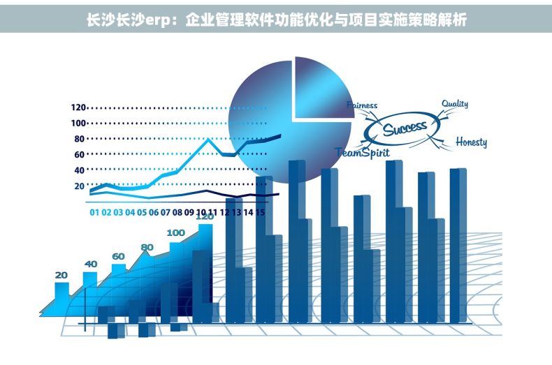 长沙长沙erp：企业管理软件功能优化与项目实施策略解析