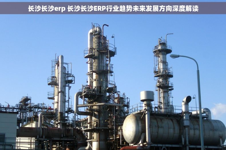 长沙长沙erp 长沙长沙ERP行业趋势未来发展方向深度解读
