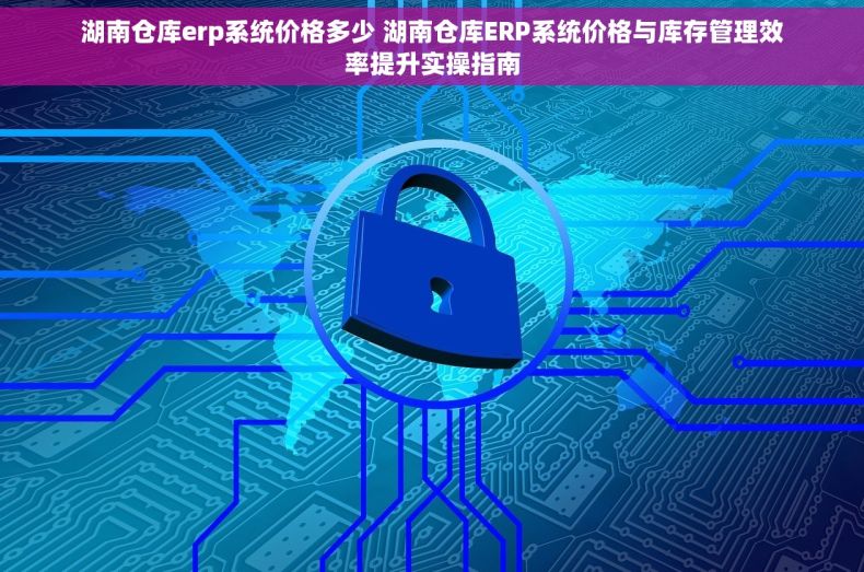 湖南仓库erp系统价格多少 湖南仓库ERP系统价格与库存管理效率提升实操指南
