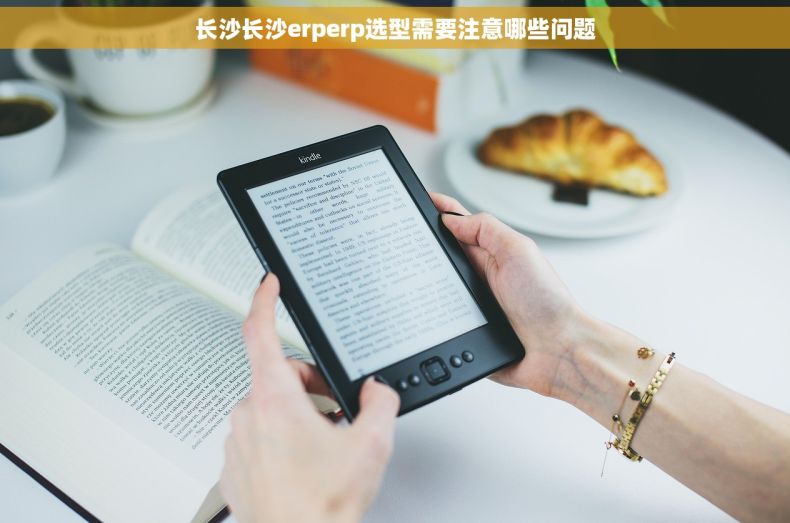 长沙长沙erperp选型需要注意哪些问题
