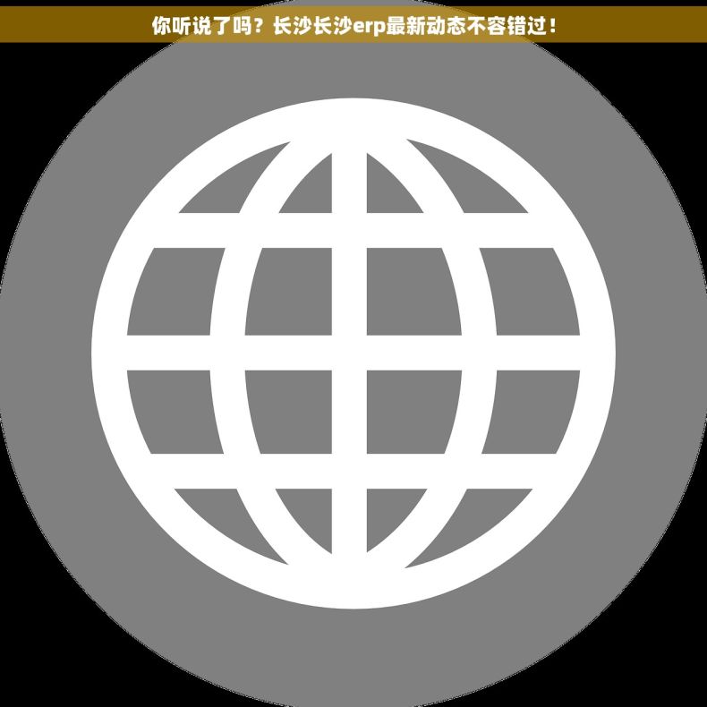 你听说了吗？长沙长沙erp最新动态不容错过！