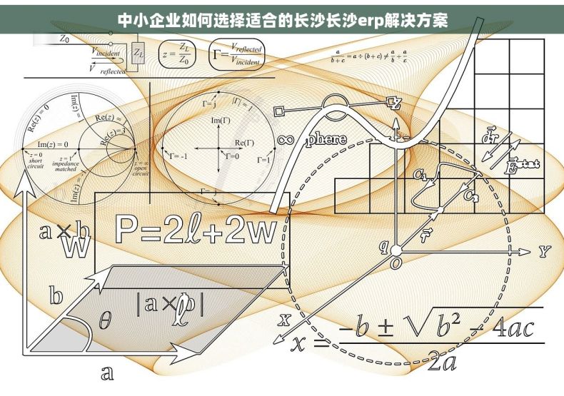 中小企业如何选择适合的长沙长沙erp解决方案