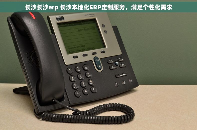 长沙长沙erp 长沙本地化ERP定制服务，满足个性化需求