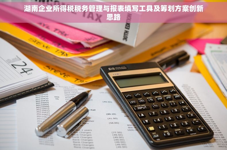 湖南企业所得税税务管理与报表填写工具及筹划方案创新思路