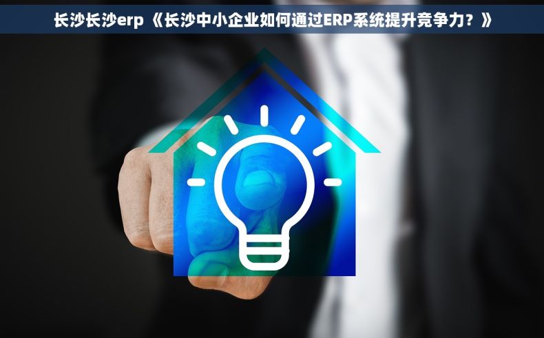 长沙长沙erp 《长沙中小企业如何通过ERP系统提升竞争力？》