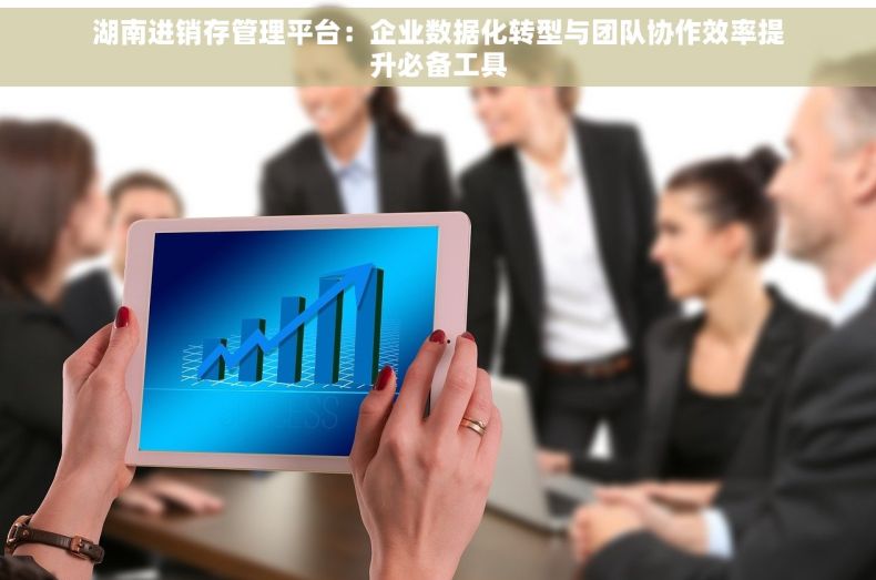 湖南进销存管理平台：企业数据化转型与团队协作效率提升必备工具
