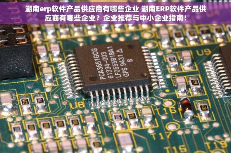 湖南erp软件产品供应商有哪些企业 湖南ERP软件产品供应商有哪些企业？企业推荐与中小企业指南！