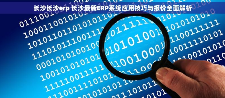 长沙长沙erp 长沙最新ERP系统应用技巧与报价全面解析