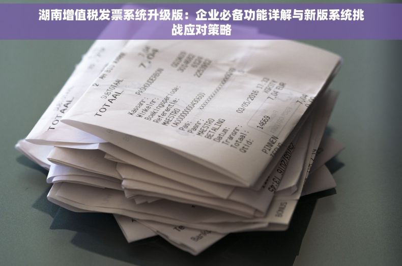 湖南增值税发票系统升级版：企业必备功能详解与新版系统挑战应对策略