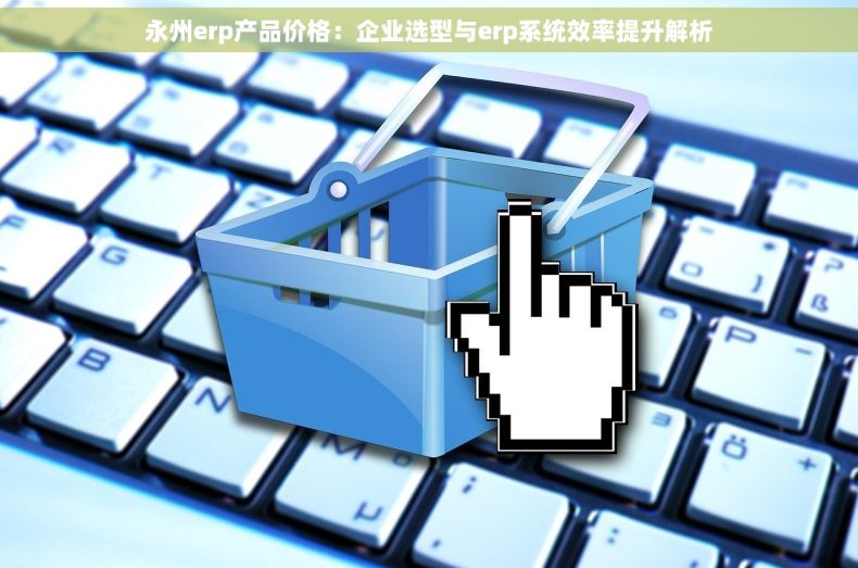 永州erp产品价格：企业选型与erp系统效率提升解析