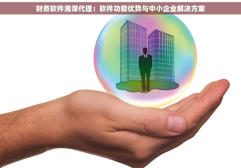 财务软件湘潭代理：软件功能优势与中小企业解决方案