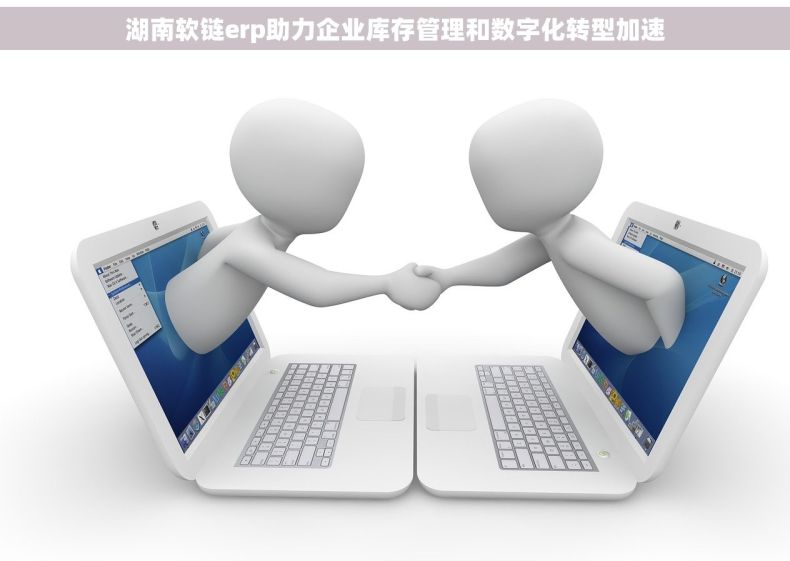 湖南软链erp助力企业库存管理和数字化转型加速