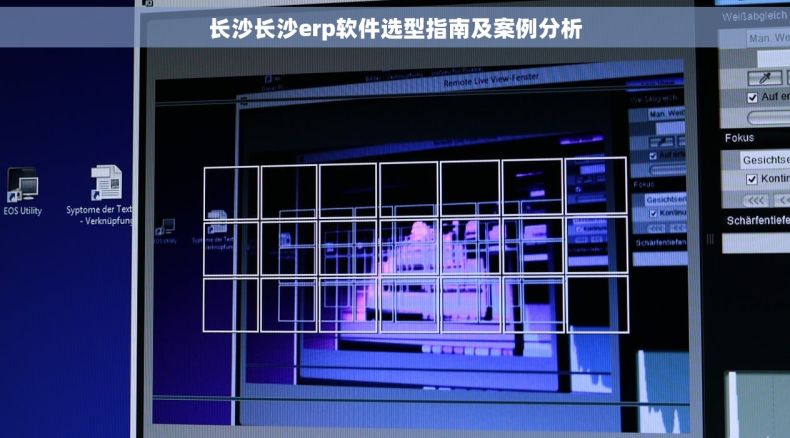 长沙长沙erp软件选型指南及案例分析